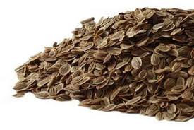  Organic Dill Seeds